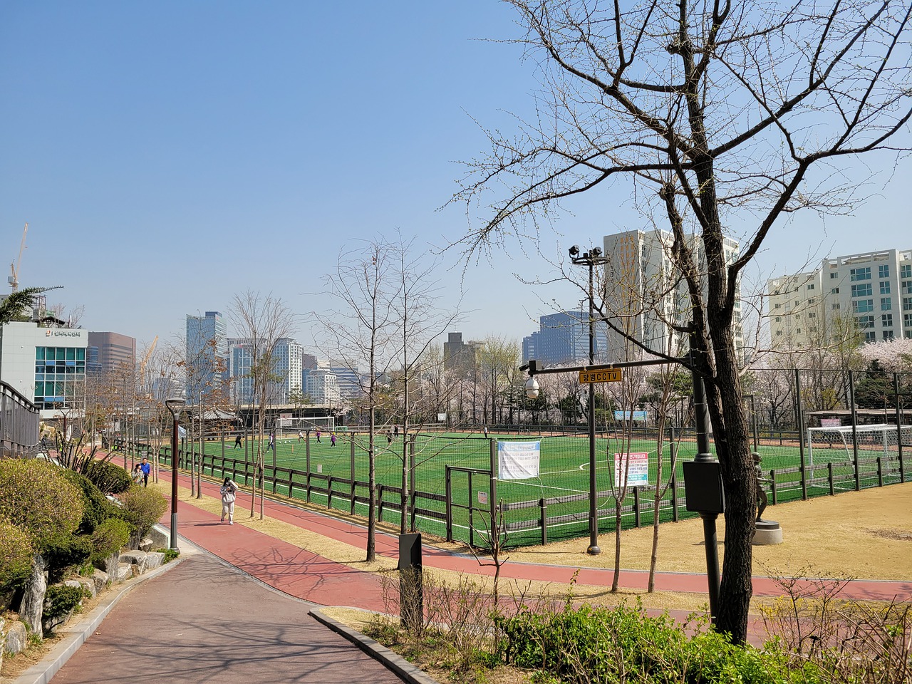 仅展示了顶