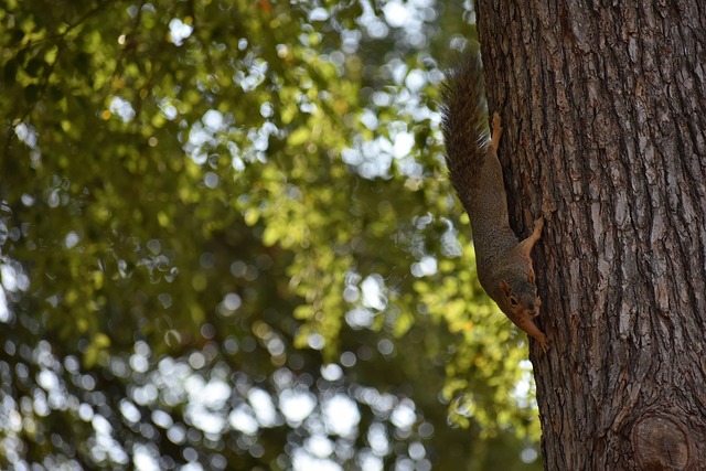 每个赛季都 每个赛季都
