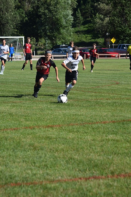 本赛季随着 本赛季随着