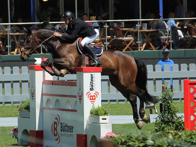 实则是一场 实则是一场