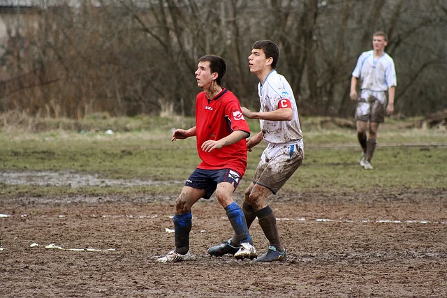 省份开始重 省份开始重